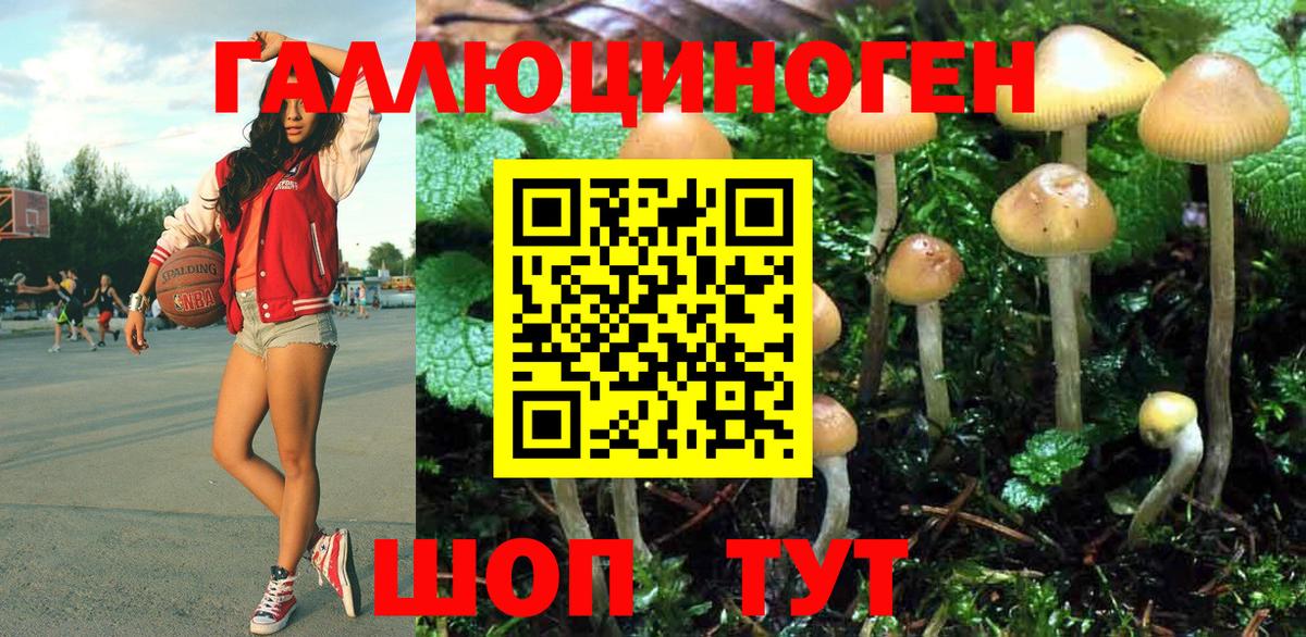 Псилоцибиновые грибы Cubensis Кушва