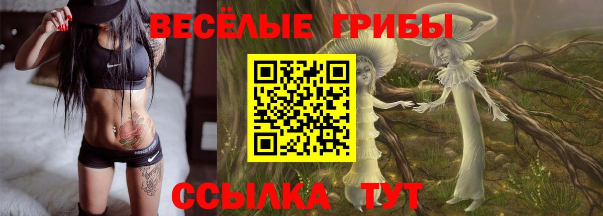 Псилоцибиновые грибы Psilocybine cubensis  Вход с VPN  Галлюциногенные грибы мухоморы  Кушва 