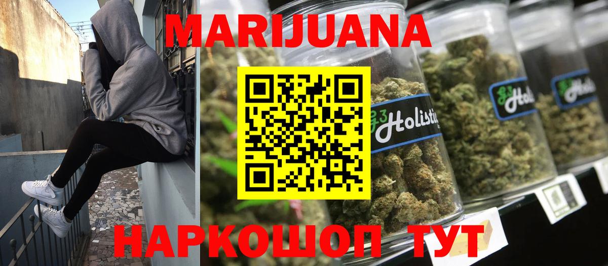 Конопля сатива Кушва